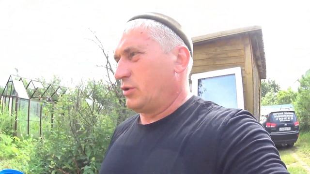 АБИССИНКА две в одну!