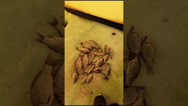 Зимняя рыбалка, с. Зелёный луг