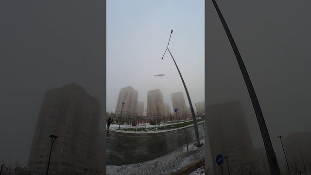 кит упал