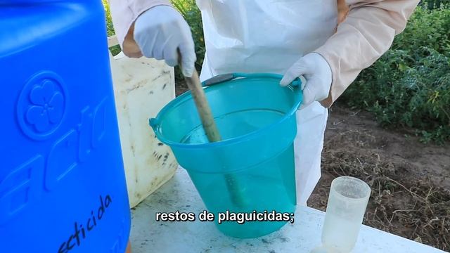 Uso y Manejo Adecuado de Plaguicidas en el Cultivo de Sésamo en la Agricultura Familiar  (Esp)