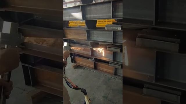 WhatsApp Video 2025-01-19 at 19.09.17