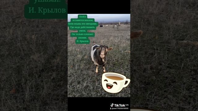scene_output.mp4
