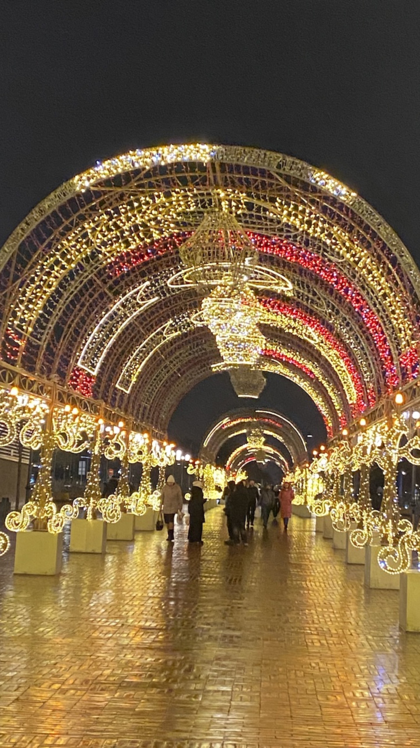 МОСКВА. Сокольники - январские красоты