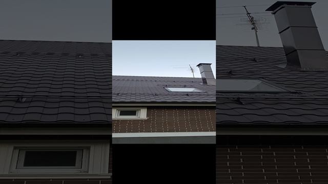 1000024997.mp4