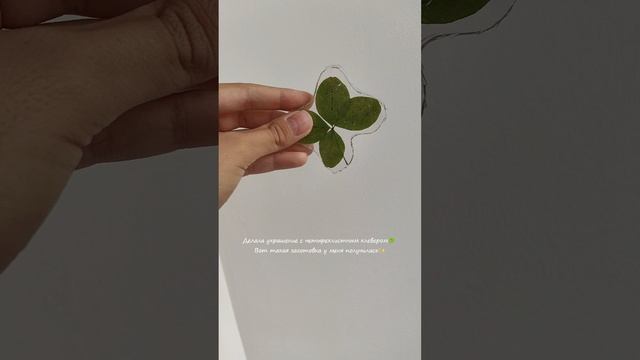 Украшение из эпоксидной смолы с четырехлистным клевером🍀