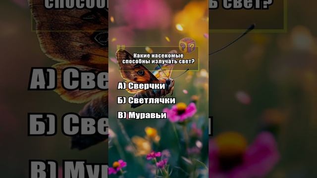 Самый умный № 26