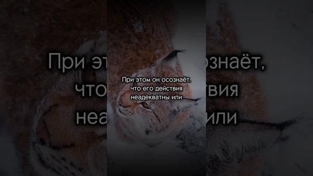 эмоции живут в настоящем