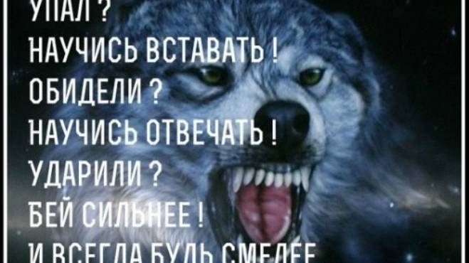 УПАЛ ВСТАВАЙ