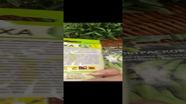 Какие кабачки выбрала для посадки в этом году.