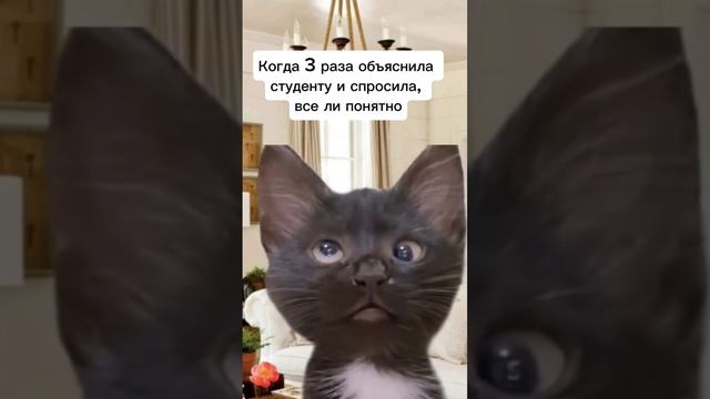 Не понял