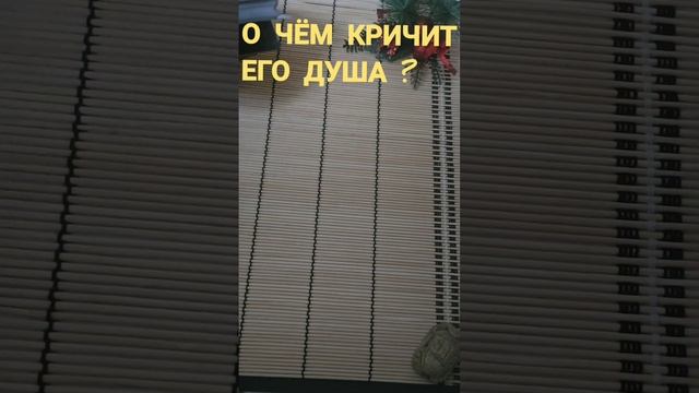О ЧЁМ КРИЧИТ ЕГО ДУША ?