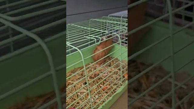 1000022749.mp4