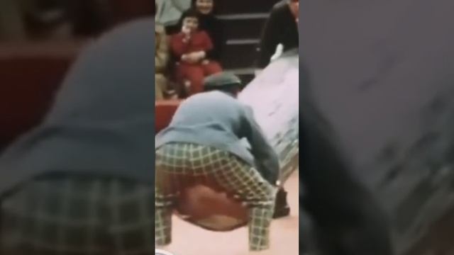 ВЗЯЛИ БРЁВНЫШКО-ЮРИЙ НИКУЛИН И МИХАИЛ ШУЙДИН