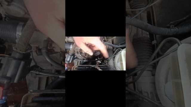 обслуживание гранты