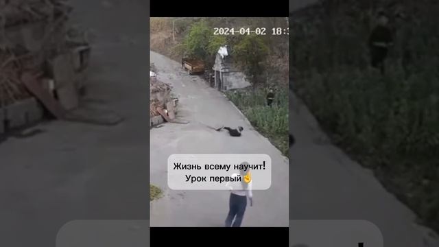 САМОРАЗВИТИЕ