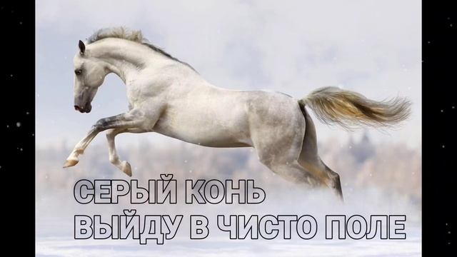 Серый конь-Выйду в чисто поле Цыганские песни.mp4
