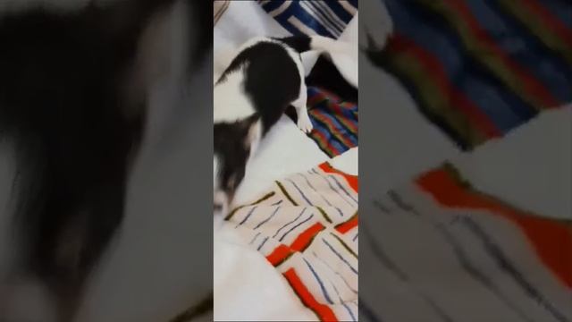 1000030344.mp4
