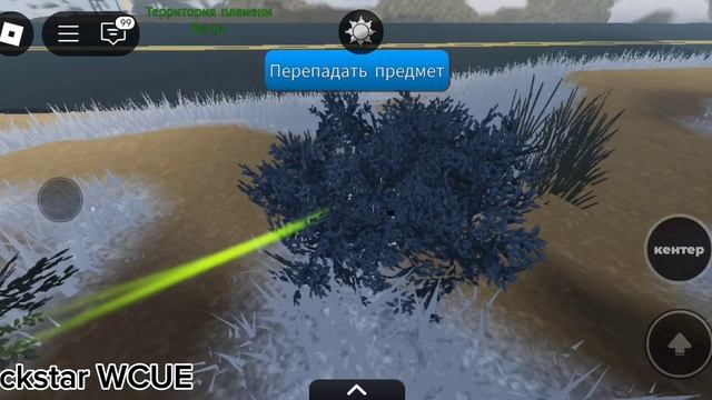 как охотится на кроликов в котах воителях roblox! а ещё это мой первый кролик!