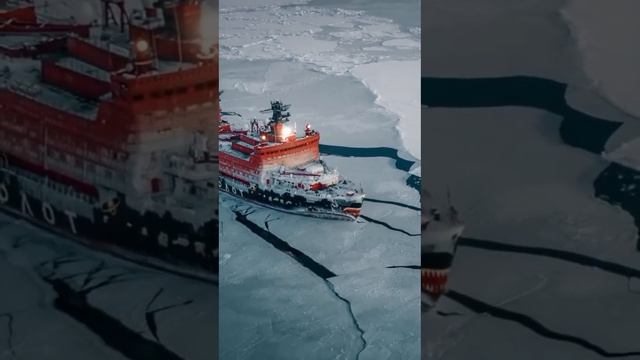 ЛЕДОКОЛ