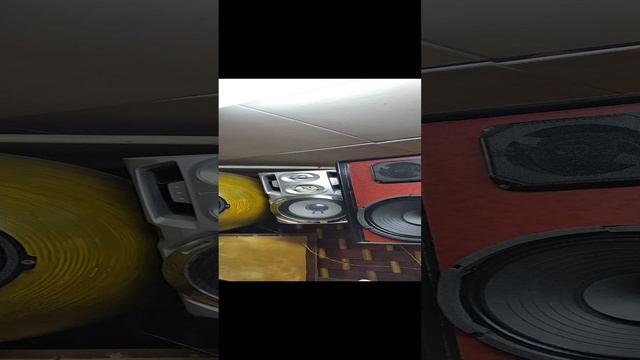 VID_20250119_144713.mp4