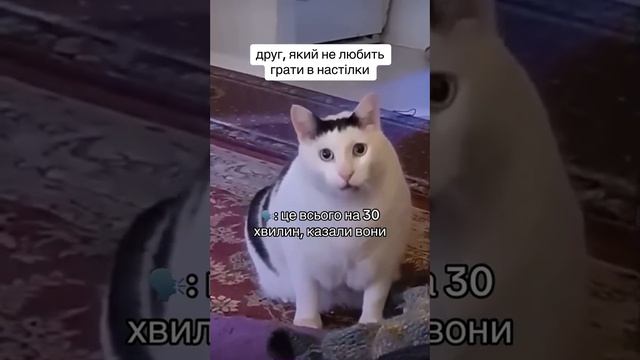 Відправляй друзям, які роблять так само😂