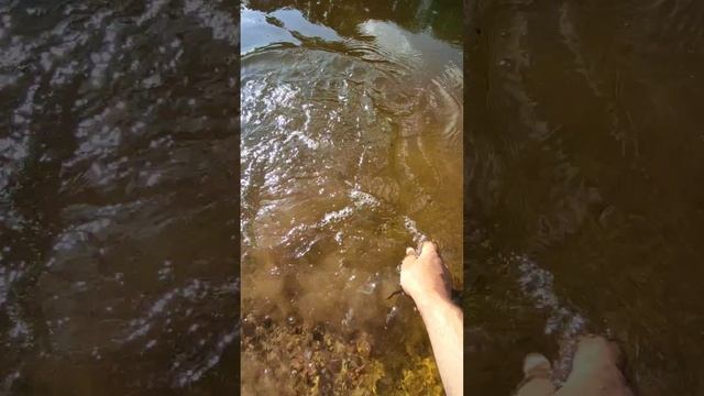 Отпускайте рыбу