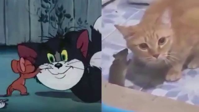 Реальность vs Искусство