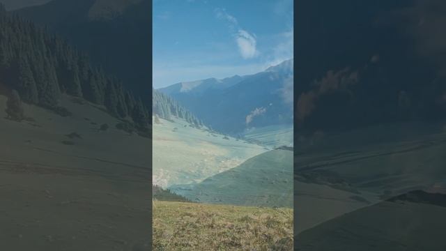 Полёт радости жизни ✨