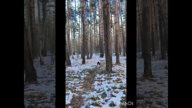 "Никс, мой душевный лекарь"