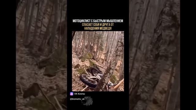 Случай в лесу