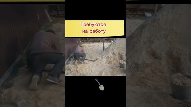 Дружный коллектив