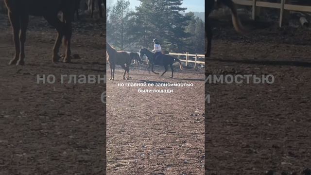 моя главная зависимость🤍