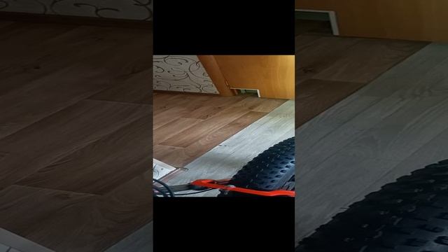 VID20250113122426.mp4