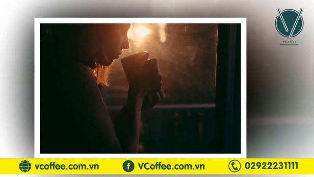 Cà phê robusta và arabica loại nào ngon hơn? – Theo VCoffee