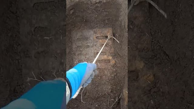 Оформил дубль чёткой находки на открытие сезона