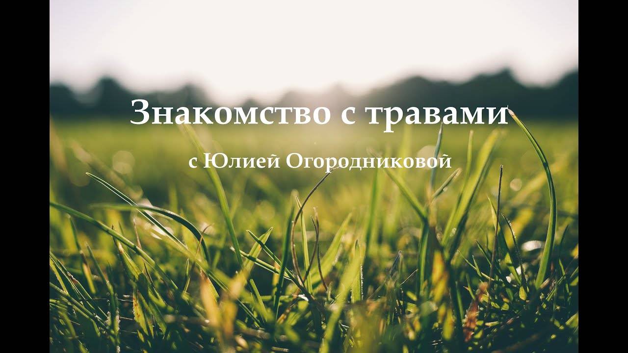 Знакомство с травами, Ведруссия 2020