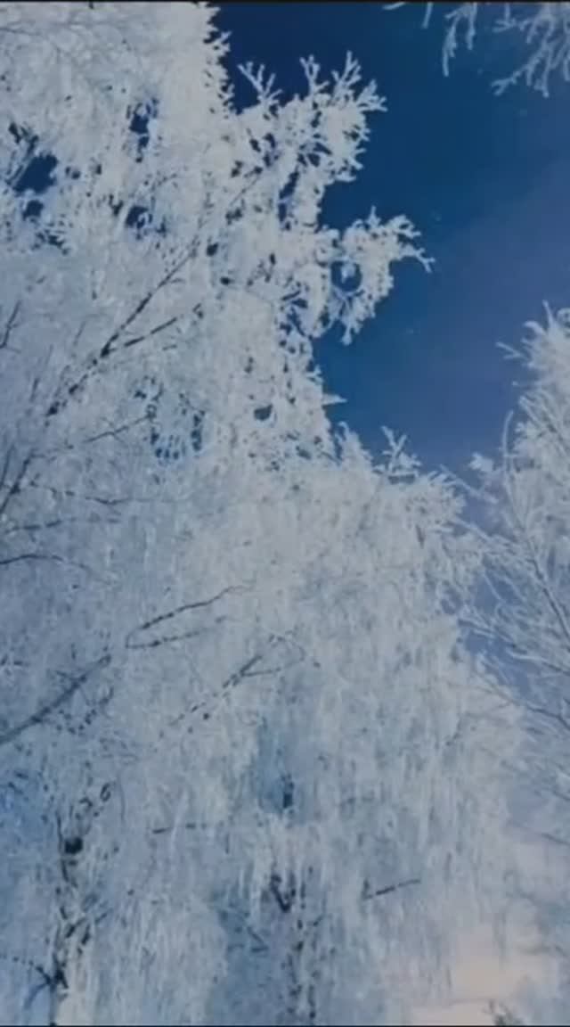 Күңелдәрҙә урын тармы ни?