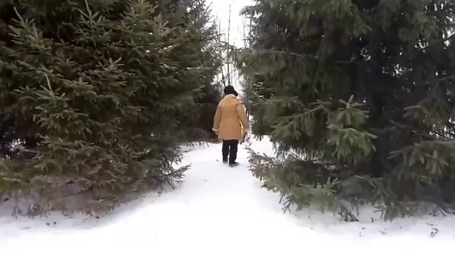 Новогоднее приключение (480p).mp4