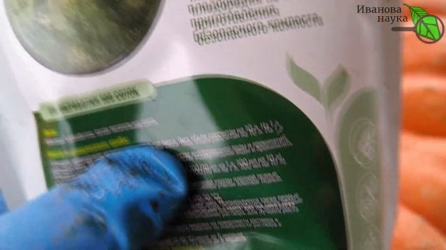 КАК ВЫРАСТИТЬ МНОГО ВКУСНЫХ ГРИБОВ НА СВОЕМ УЧАСТКЕ.
