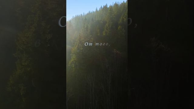 Преобразование воды и пищи в Вашем организме зависит от Ваших излучений