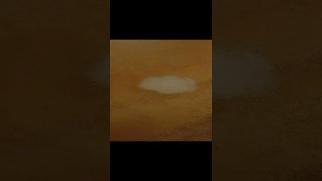 ✨обзор на таба лапки✨