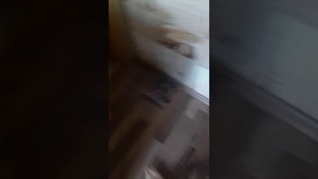 обзор на мои выжигательные рисунки 🙂🙂