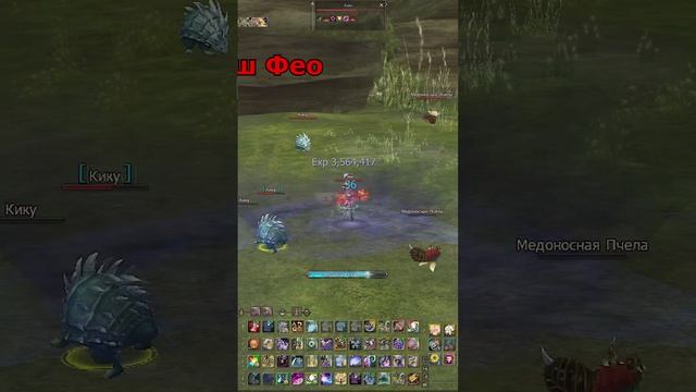 Гайд на Магов в #lineage2 Ruoff Main 2025. #l2 #л2