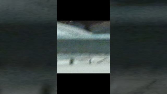 1000000136.mp4