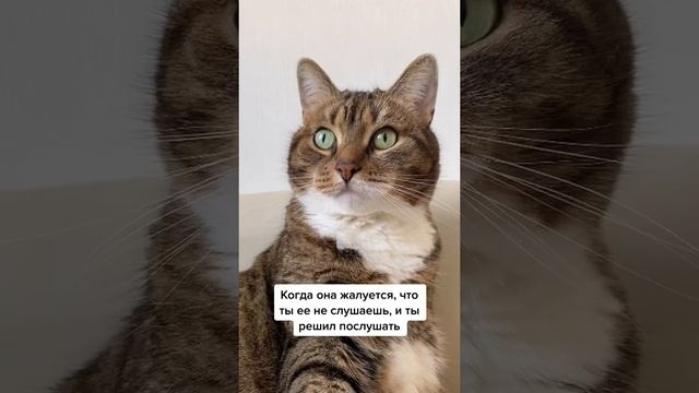 #shorts#, смех, ржач, юмор, настроение, приколы.mp4