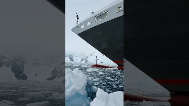 Балерина станцевала прямо на ледоколе в Антарктиде
На кадрах французская балерина Виктория Добервил