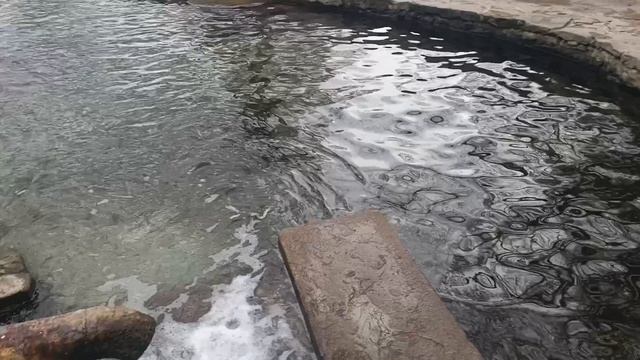 С КРЕЩЕНИЕМ ГОСПОДНИМ! ПРОГУЛКА К РОДНИКУ ГРЕМУЧКА В РОСТОВЕ НА ДОНУ! БАТЮШКА ДОН!