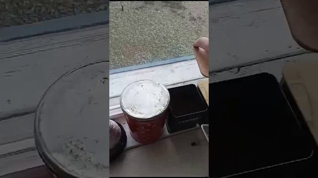 Изба Волжская для видео проверки