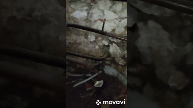 Миссия провалена