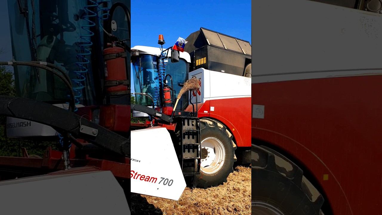 Завершили уборку 2024. Волгоградская область. Как это было.  #shorts #farming #agriculture